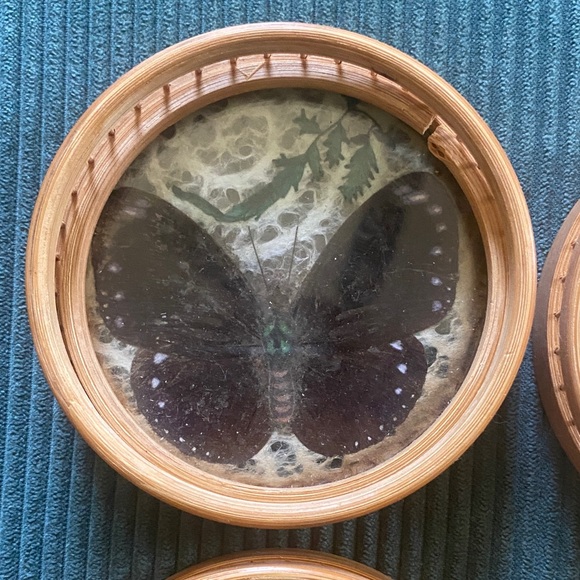 Vintage Rattan Butterfly Coaster Set with Holder - 7 Pieces - Handmade - Picture 4 of 11